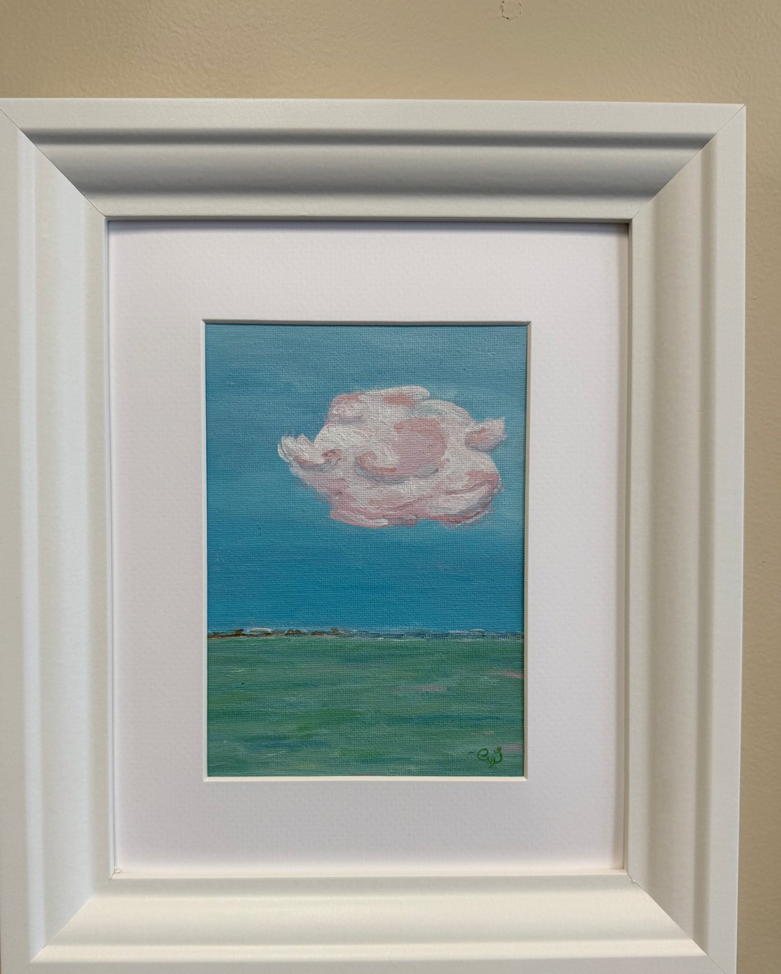 High Clouds over Tidal Marshland