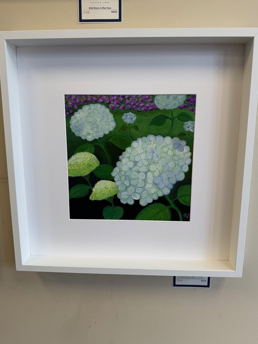 Garden Hydrangea · Oakleaf