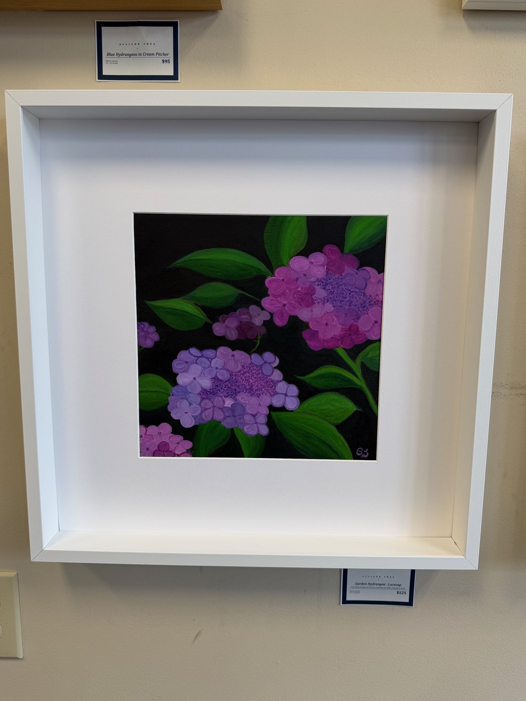 Garden Hydrangea · Panicle